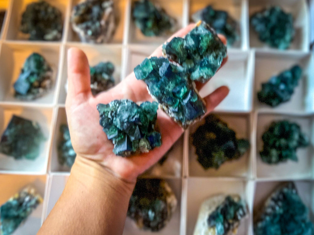 Hidden Forest Pocket Fluorite Clusters, Diana Maria Mine, Daylight Fluorescent Fluorite (ONLINE ORDER ONLY)