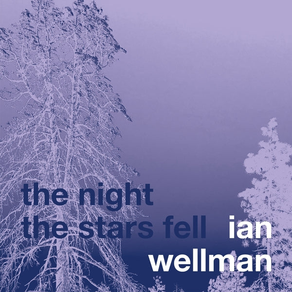IAN WELLMAN - The Night The Stars Fell [CD] (ONLINE ORDER ONLY)
