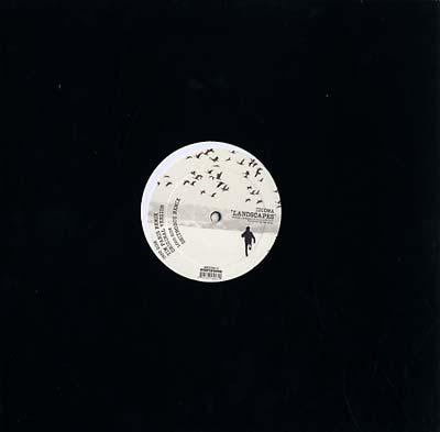 IDIOMA - Landscapes [Vinyl] (ONLINE ORDER ONLY)