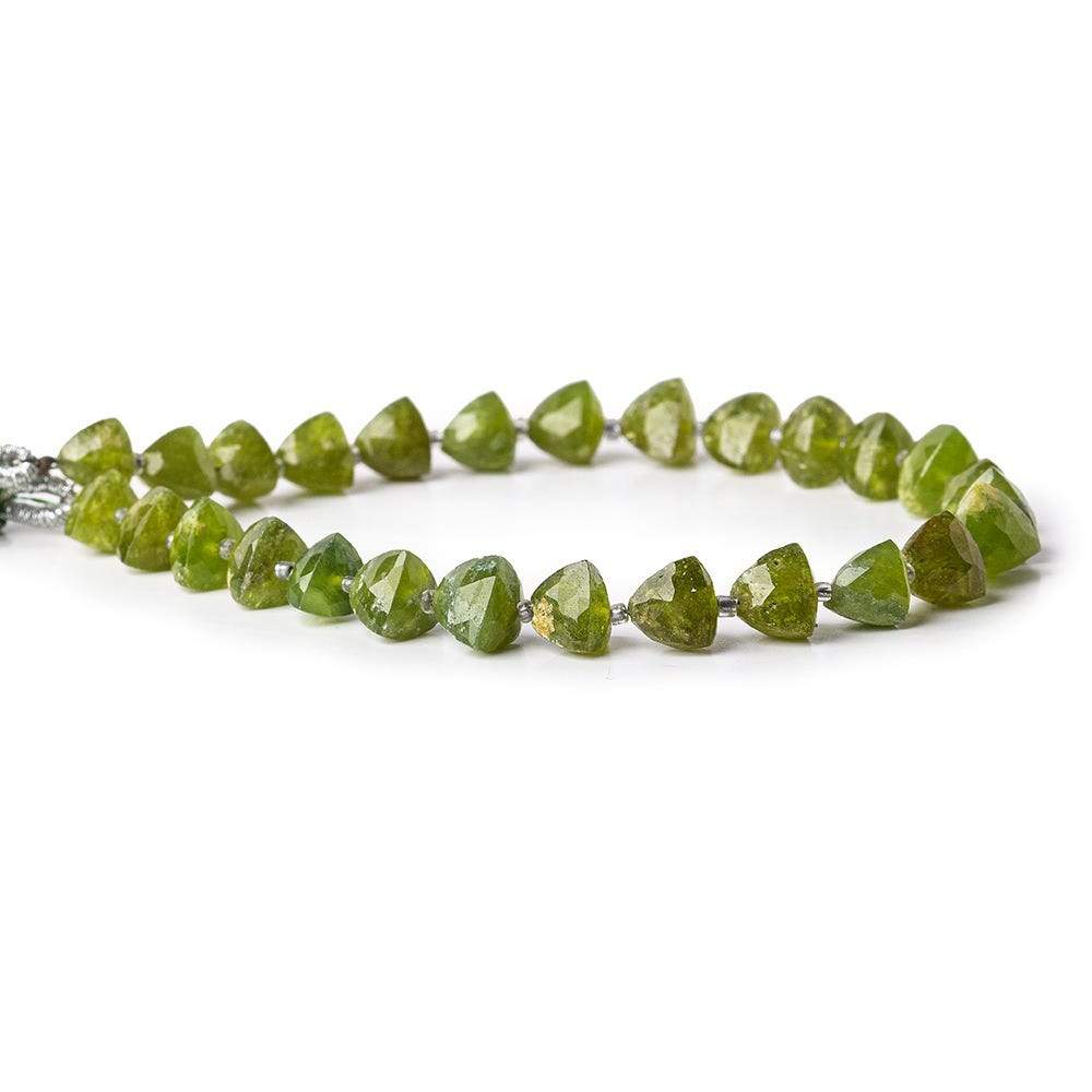 Idocrase Beads Straight Drilled Trillion (ONLINE ORDER ONLY)