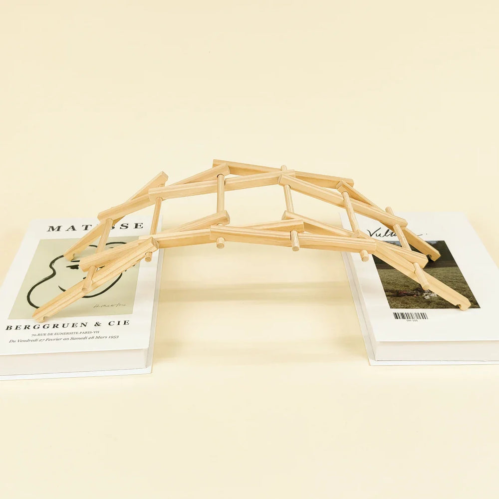 Da Vinci's Bridge DIY Kit, Educational STEM Toy (ONLINE ORDER ONLY)