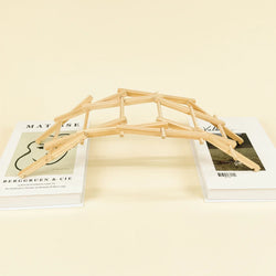 Da Vinci's Bridge DIY Kit, Educational STEM Toy (ONLINE ORDER ONLY)