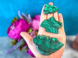 Polished Orbicular Malachite Slice (ONLINE ORDER ONLY)