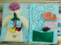 Anatomy board - anatomy quiet book page - 10 organ pieces - learning board - Medical Play Set - human body - busy board - quiet book page (ONLINE ORDER ONLY)
