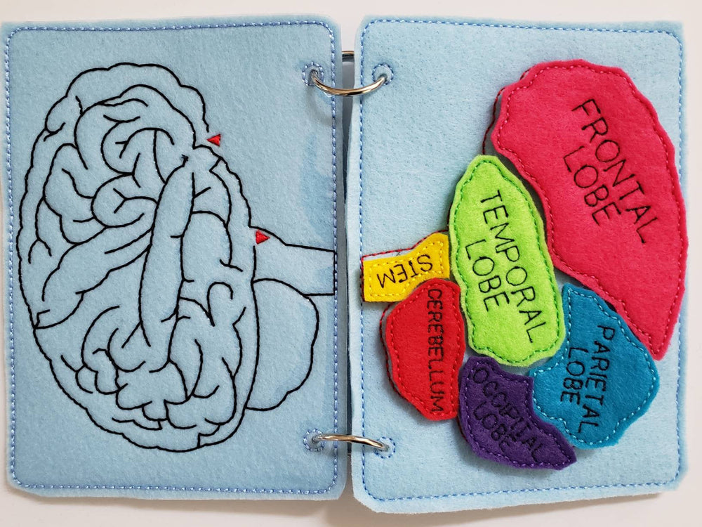 Human Brain puzzle quiet book page - brain maze - learning board - Medical Play Set - human body - busy board education (ONLINE ORDER ONLY)