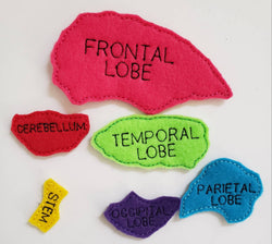 Human Brain puzzle quiet book page - brain maze - learning board - Medical Play Set - human body - busy board education (ONLINE ORDER ONLY)