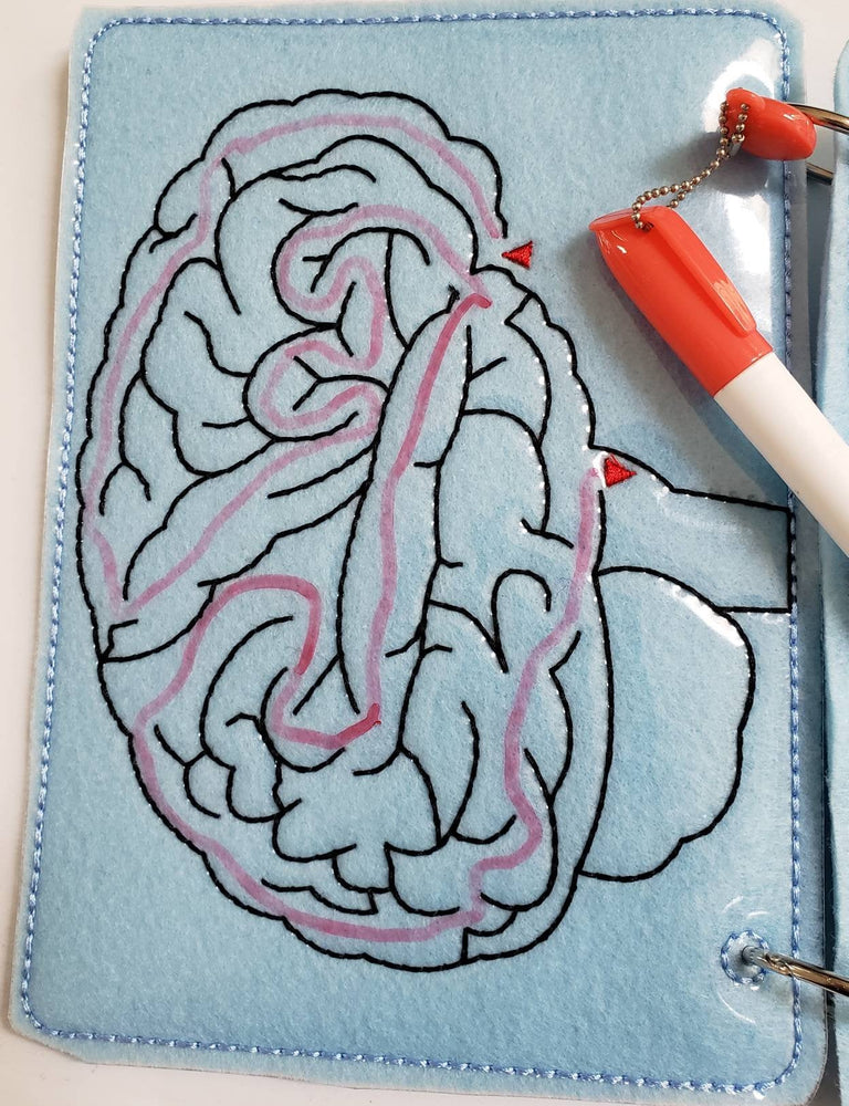 Human Brain puzzle quiet book page - brain maze - learning board - Medical Play Set - human body - busy board education (ONLINE ORDER ONLY)