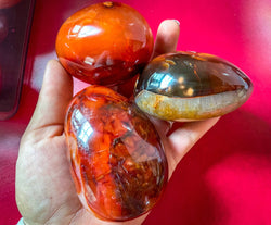 Ethically Sourced carnelian crystal Palm Stone (ONLINE ORDER ONLY)