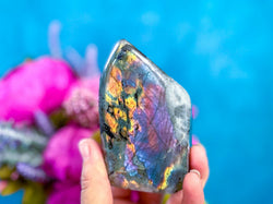 Purple Labradorite Crystal Freeform, Rainbow Labradorite, White Labradorite (ONLINE ORDER ONLY)