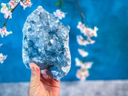 Ethically Sourced Raw CELESTITE Geodes 3 - 5 1/2 lbs! (ONLINE ORDER ONLY)