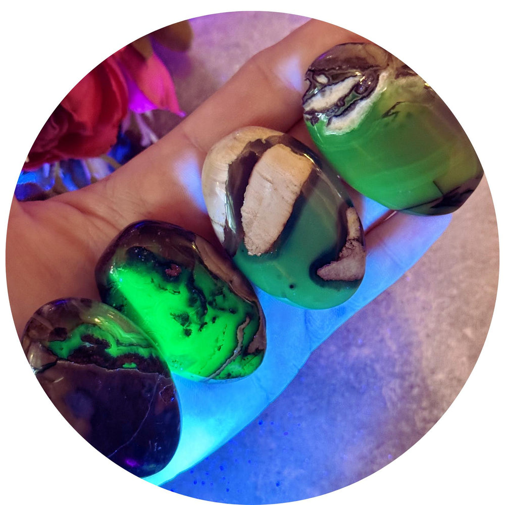 Volcano Agate Palmstones, Green Fluorescent Minerals, UV Crystals