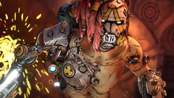 Borderlands 4 - PC (ONLINE ORDER ONLY)