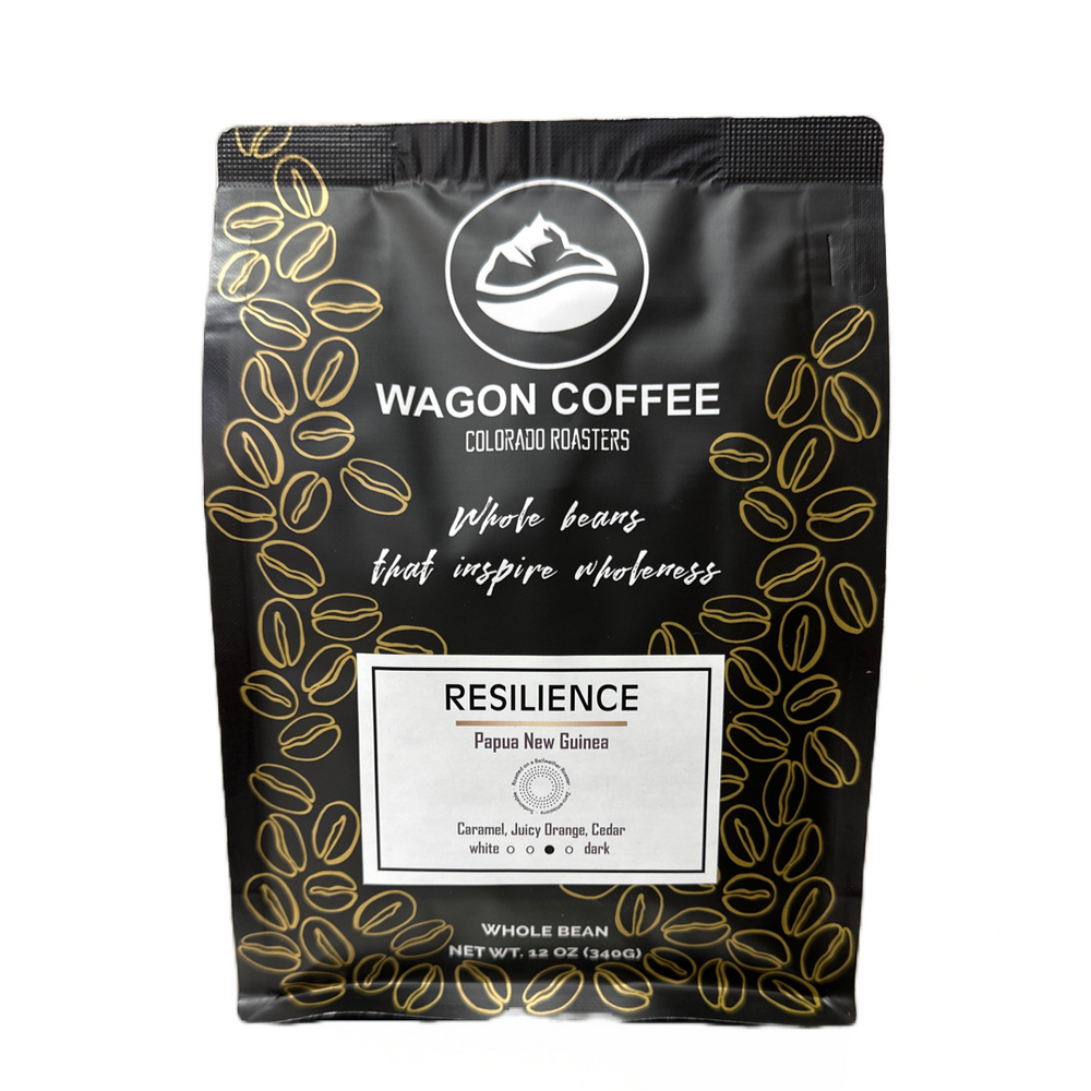 Resilience (ONLINE ORDER ONLY)