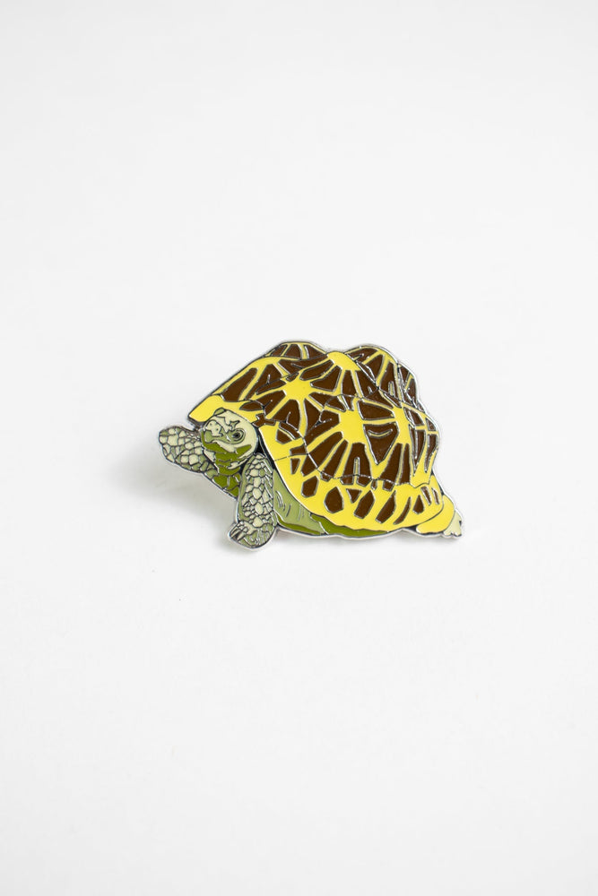Indian Star Tortoise Enamel Pin (Geochelone elegans) (ONLINE ORDER ONLY)