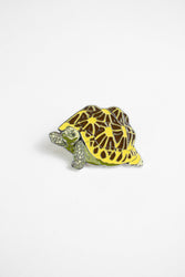 Indian Star Tortoise Enamel Pin (Geochelone elegans) (ONLINE ORDER ONLY)
