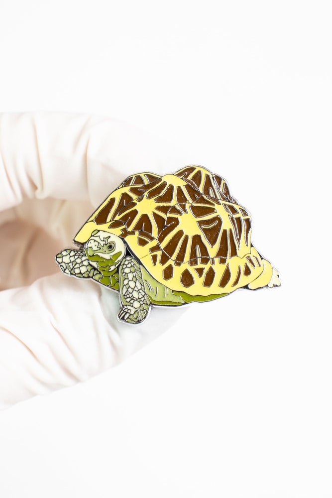 Indian Star Tortoise Enamel Pin (Geochelone elegans) (ONLINE ORDER ONLY)