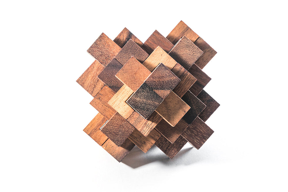 Construct Puzzle - Interlocking 24 piece Burr Puzzle (Online Order Only)