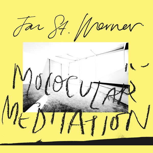 Jan St. Werner - Molocular Meditation [Vinyl] (ONLINE ORDER ONLY)