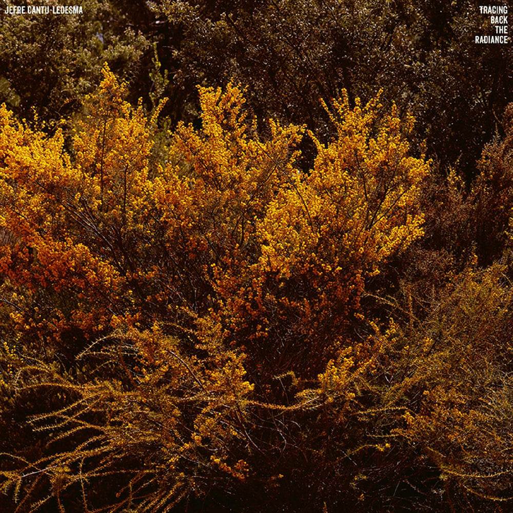 Jefre Cantu-Ledesma - Tracing Back The Radiance [Vinyl] (ONLINE ORDER ONLY)