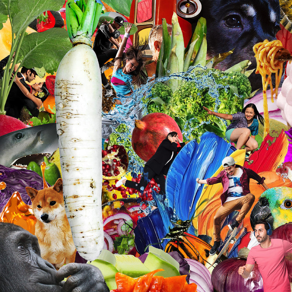The Radiant Radish [Cassette] (ONLINE ORDER ONLY)