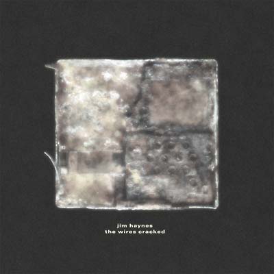 The Wires Cracked [Vinyl] (ONLINE ORDER ONLY)