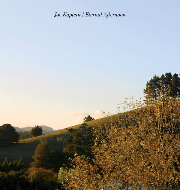 Eternal Afternoons [Vinyl] (ONLINE ORDER ONLY)