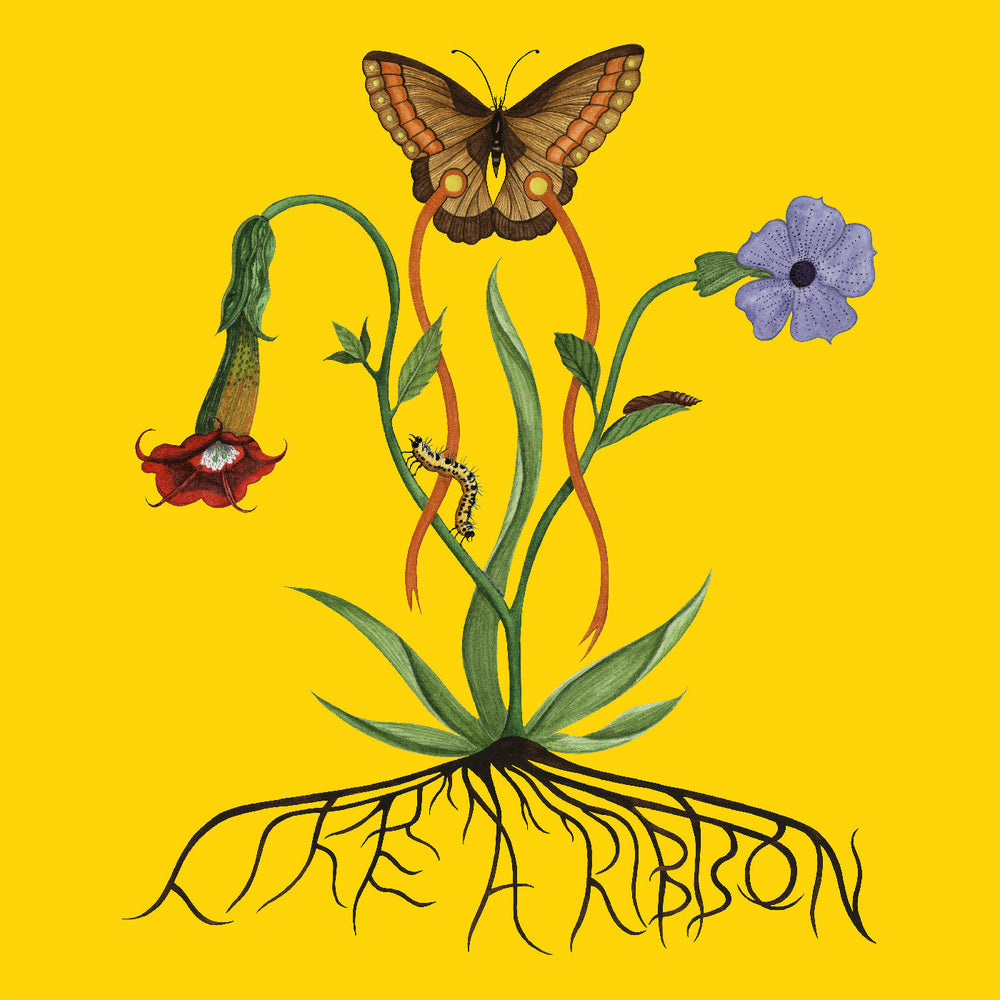 Like A Ribbon [CD]