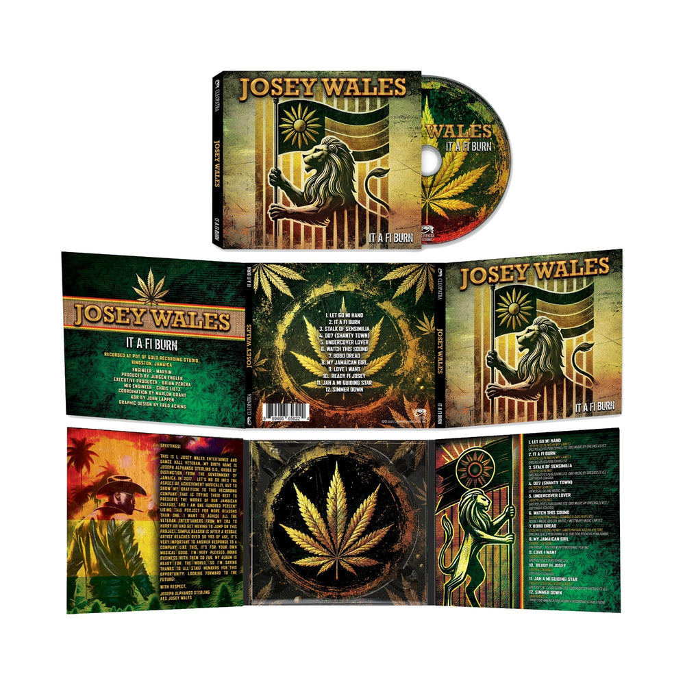 It A Fi Burn [CD] [CD] (ONLINE ORDER ONLY)
