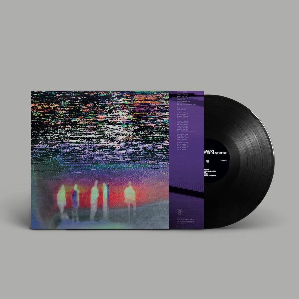 We Were Just Here [LP] [Vinyl] (ONLINE ORDER ONLY)