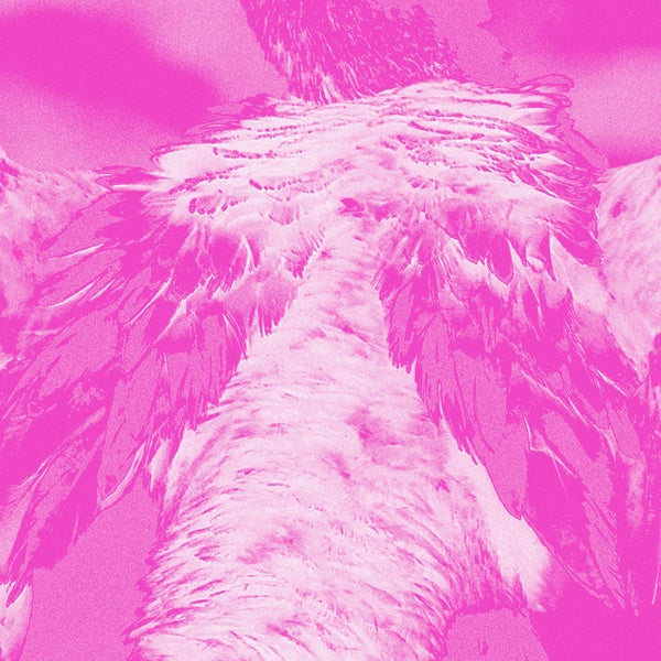 KATE CARR - A field guide to phantasmic birds [CD] (ONLINE ORDER ONLY)