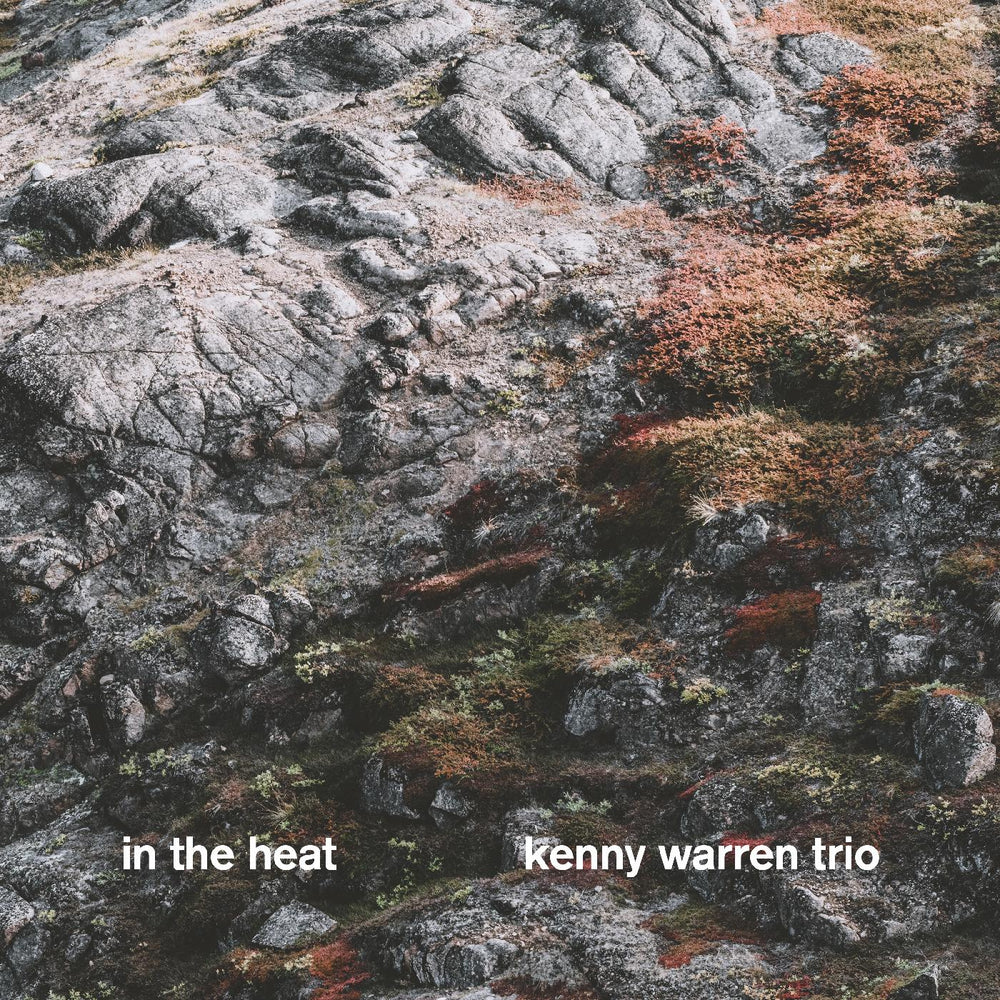 Kenny Trio Warren - In The Heat [CD] (ONLINE ORDER ONLY)