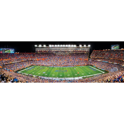Florida Gators - 1000 Piece Panoramic Jigsaw Puzzle (ONLINE ORDER ONLY)
