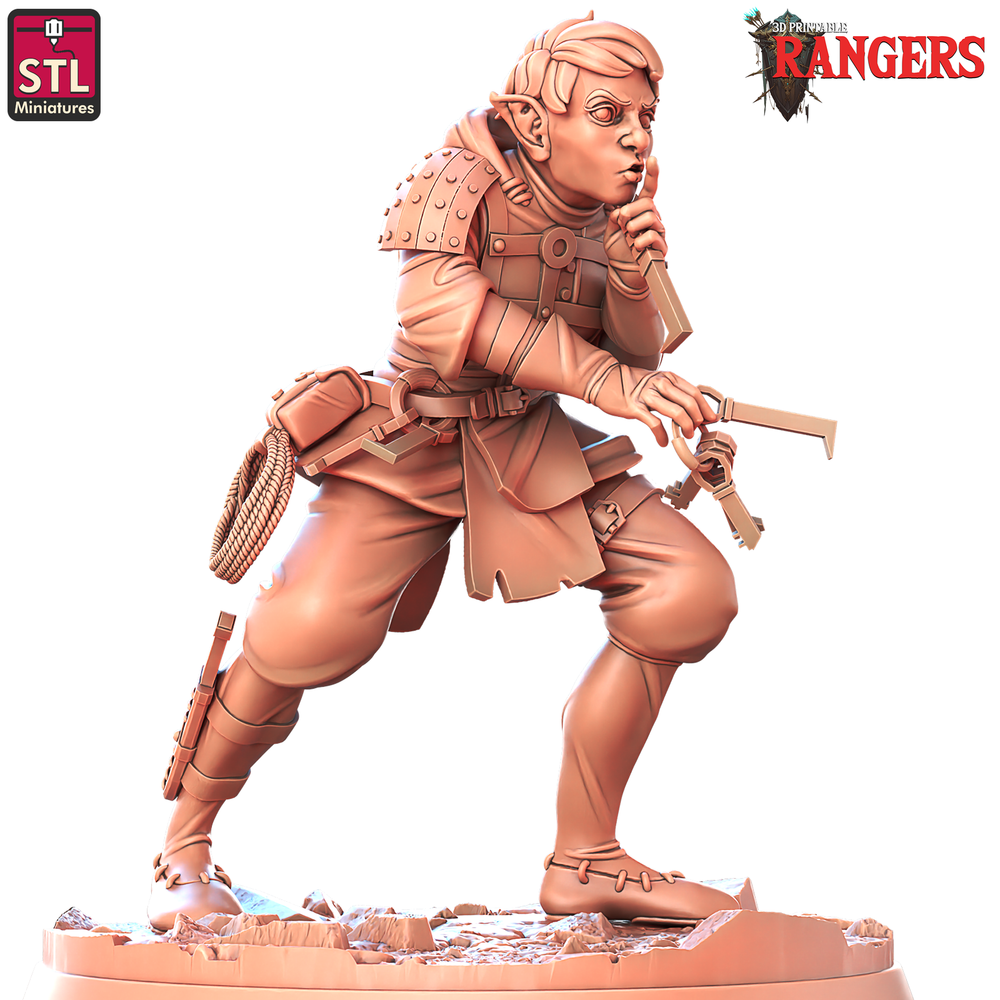 3D Printed STL Miniatures Ranger Companions Set Rangers  28 - 32mm War Gaming D&D (Online Only)