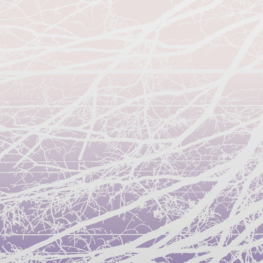Metal Aether / Resonant Field [Vinyl] (ONLINE ORDER ONLY)