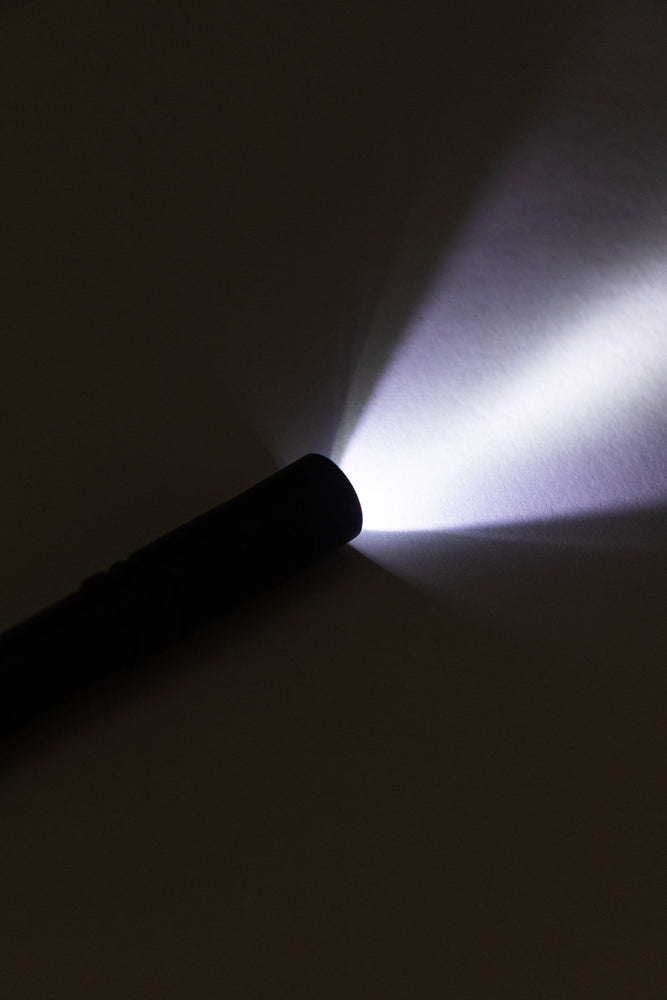 LED Penlight (ONLINE ORDER ONLY)