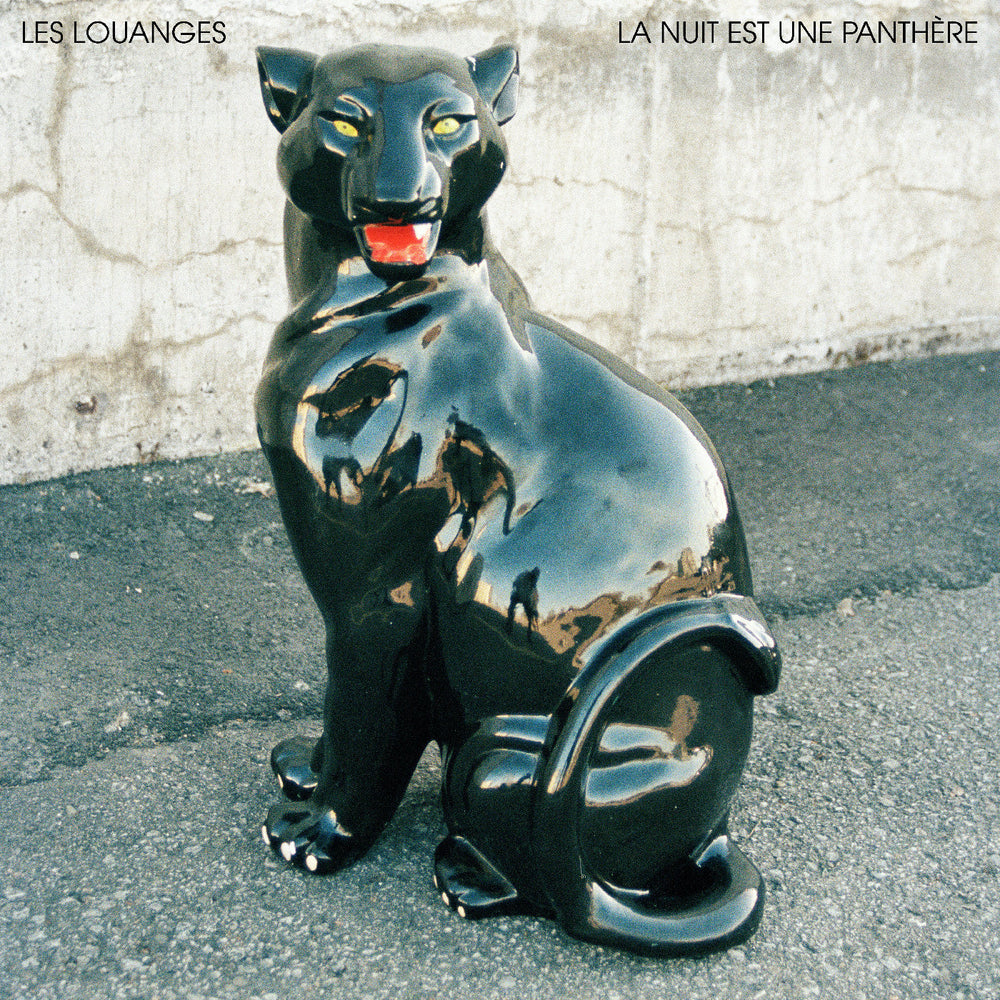 La Nuit Est Une Panthère [Vinyl]