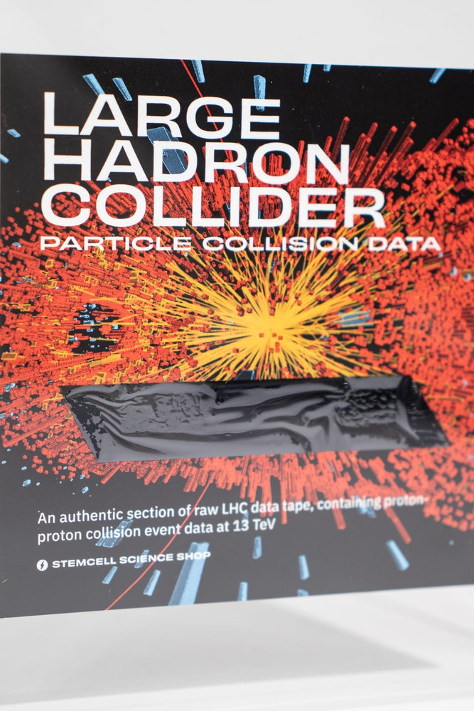 LHC Data Tape Fragment (ONLINE ORDER ONLY)