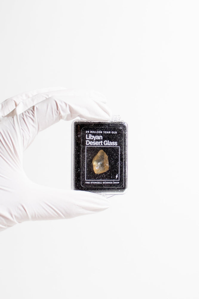 Libyan Desert Glass (ONLINE ORDER ONLY)