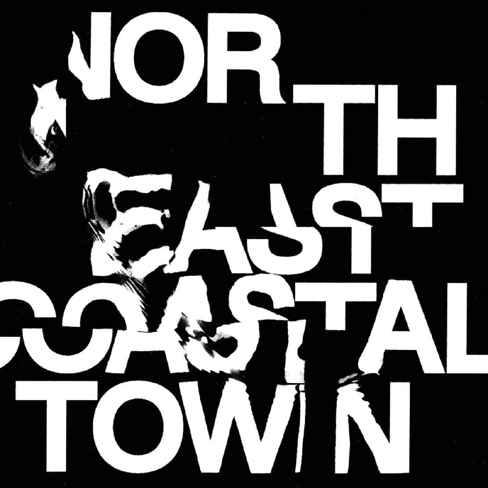 North East Coastal Town [Vinyl] (ONLINE ORDER ONLY)