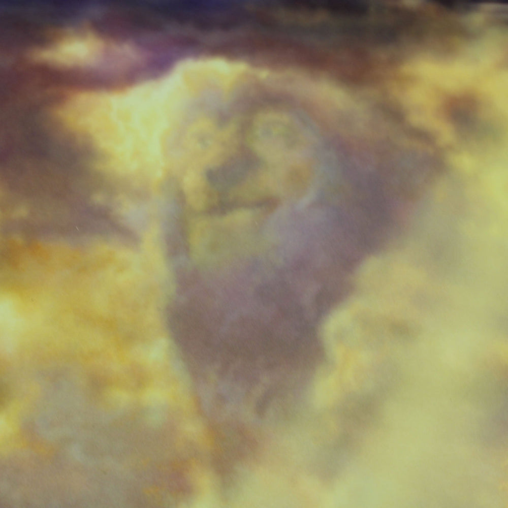 The Lion King Disney Thomas Kinkade Framed Art Print (ONLINE ORDER ONLY)
