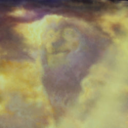 The Lion King Disney Thomas Kinkade Framed Art Print (ONLINE ORDER ONLY)
