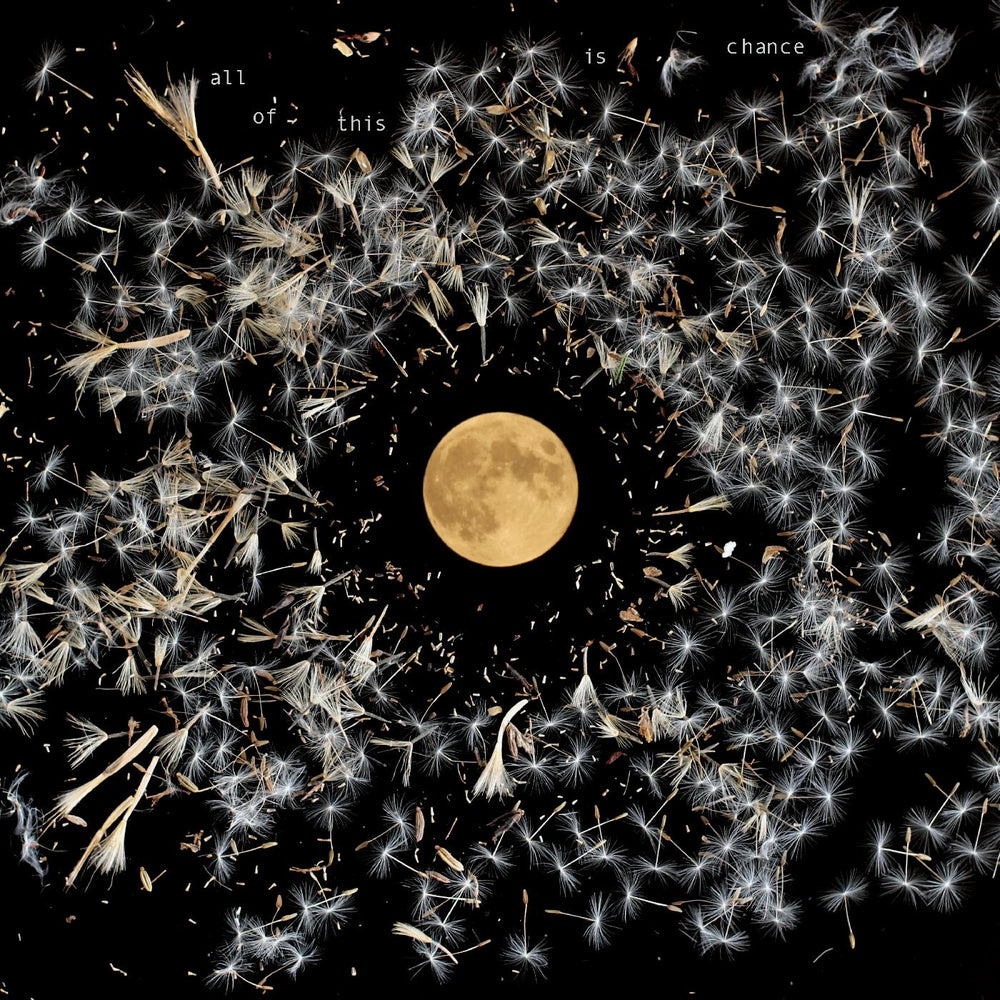 All Of This Is Chance [Vinyl] (ONLINE ORDER ONLY)