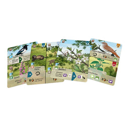 Forest Shuffle: Woodland Edge Expansion (ONLINE ORDER ONLY)