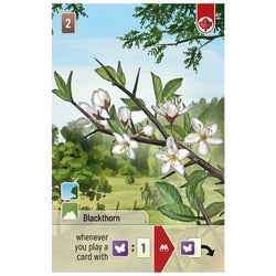 Forest Shuffle: Woodland Edge Expansion (ONLINE ORDER ONLY)