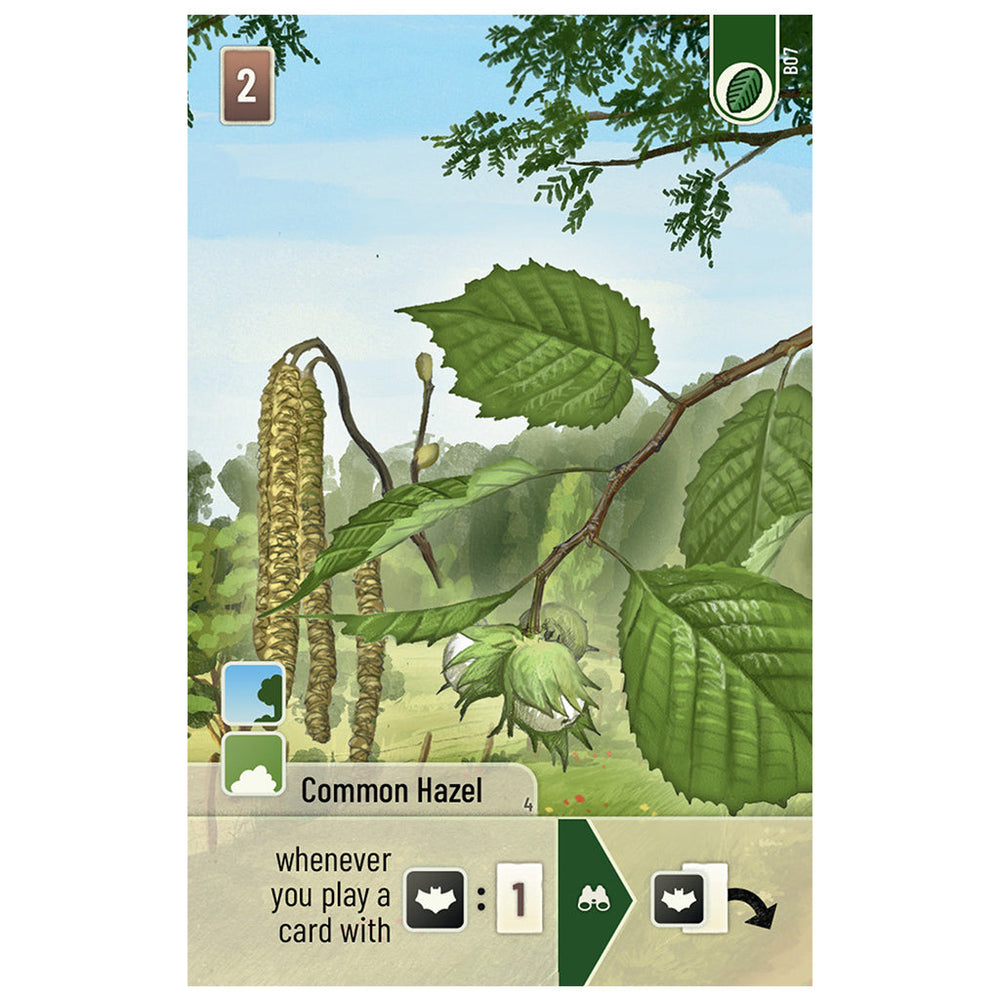 Forest Shuffle: Woodland Edge Expansion (ONLINE ORDER ONLY)
