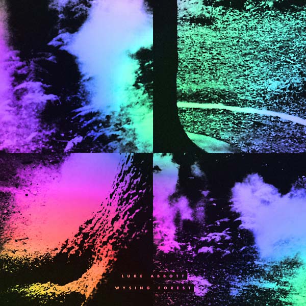 LUKE ABBOTT - Wysing Forest [CD] (ONLINE ORDER ONLY)