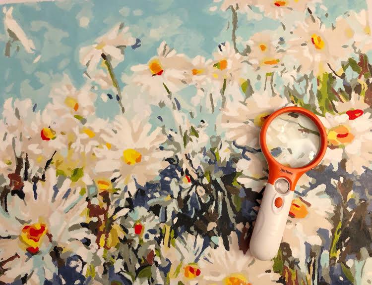 Magnifying Glass 3X & 45X (Online Order Only)