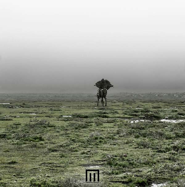 MARKUS WORMSTORM - Figure In Field [Vinyl] (ONLINE ORDER ONLY)