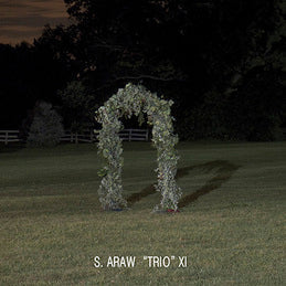 In No Particular Order [Vinyl] (ONLINE ORDER ONLY)