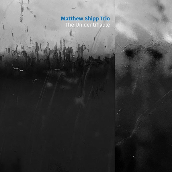 The Unidentifiable [CD] (ONLINE ORDER ONLY)